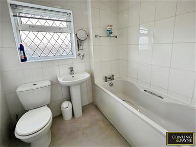 Picture 17